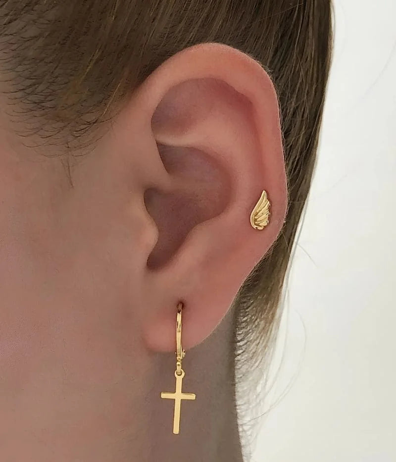 Aretes Alas